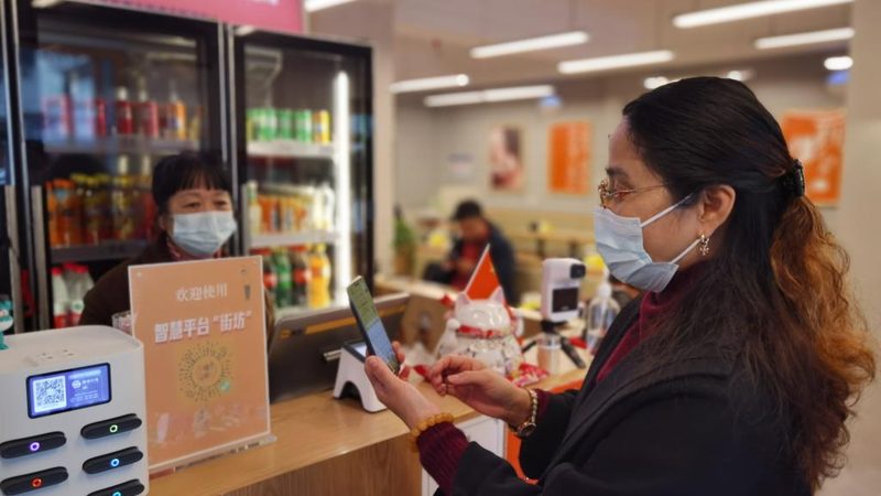 别墅保姆定制化服务：费用构成解析与考量**