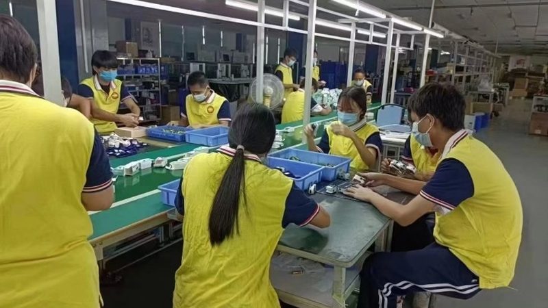 长途搬家，宠物如何安全托运？检疫证明办理攻略